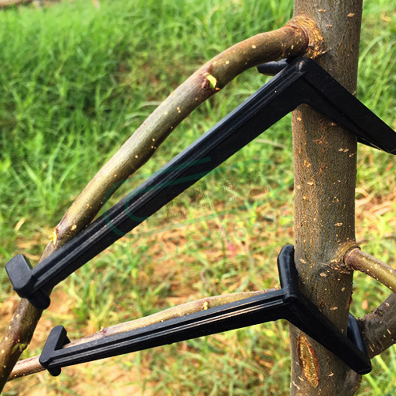 Plant Parent Tools - 10-30 Chiếc Quả Cây Kẹp Vật