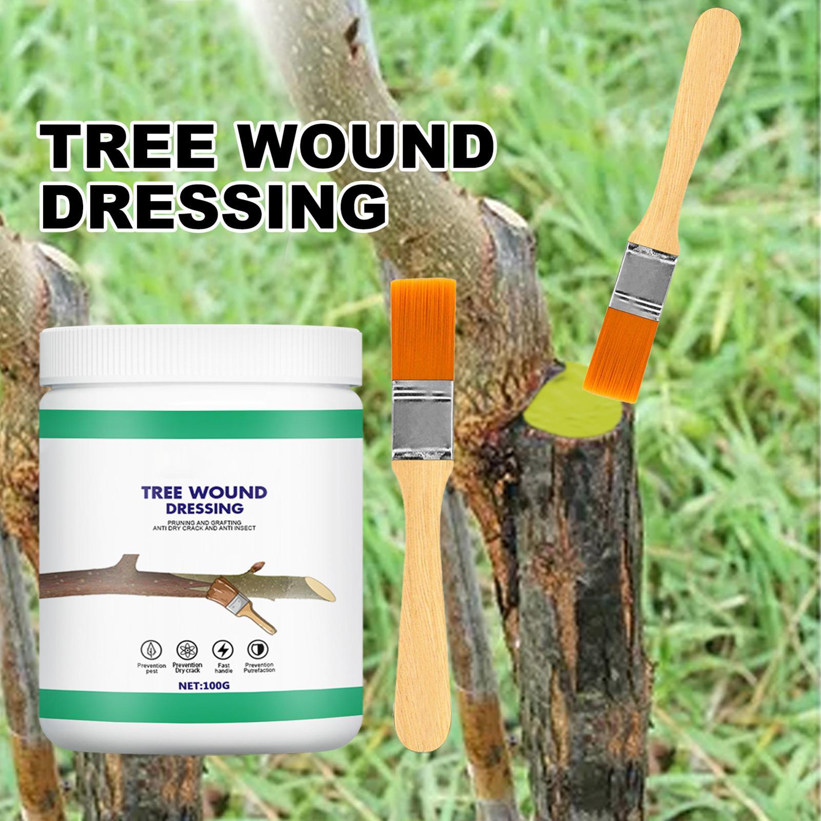 Pruning Sealer 100g Protective - đánh giá và giá Plant Parenting