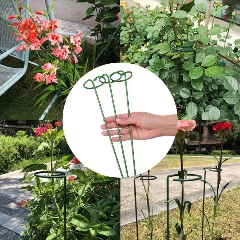 New Metal Support Frame Anti-d - đánh giá và giá Plant Parent Tools