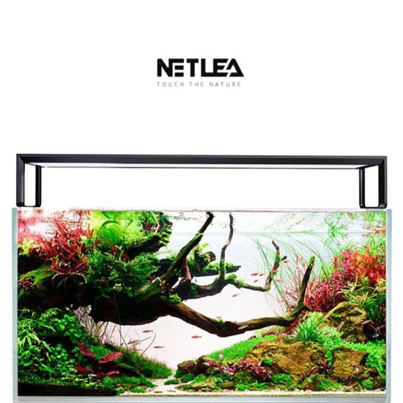 Netlea AT5S V4 Smart Wifi APP  - đánh giá và giá Plant Parent App
