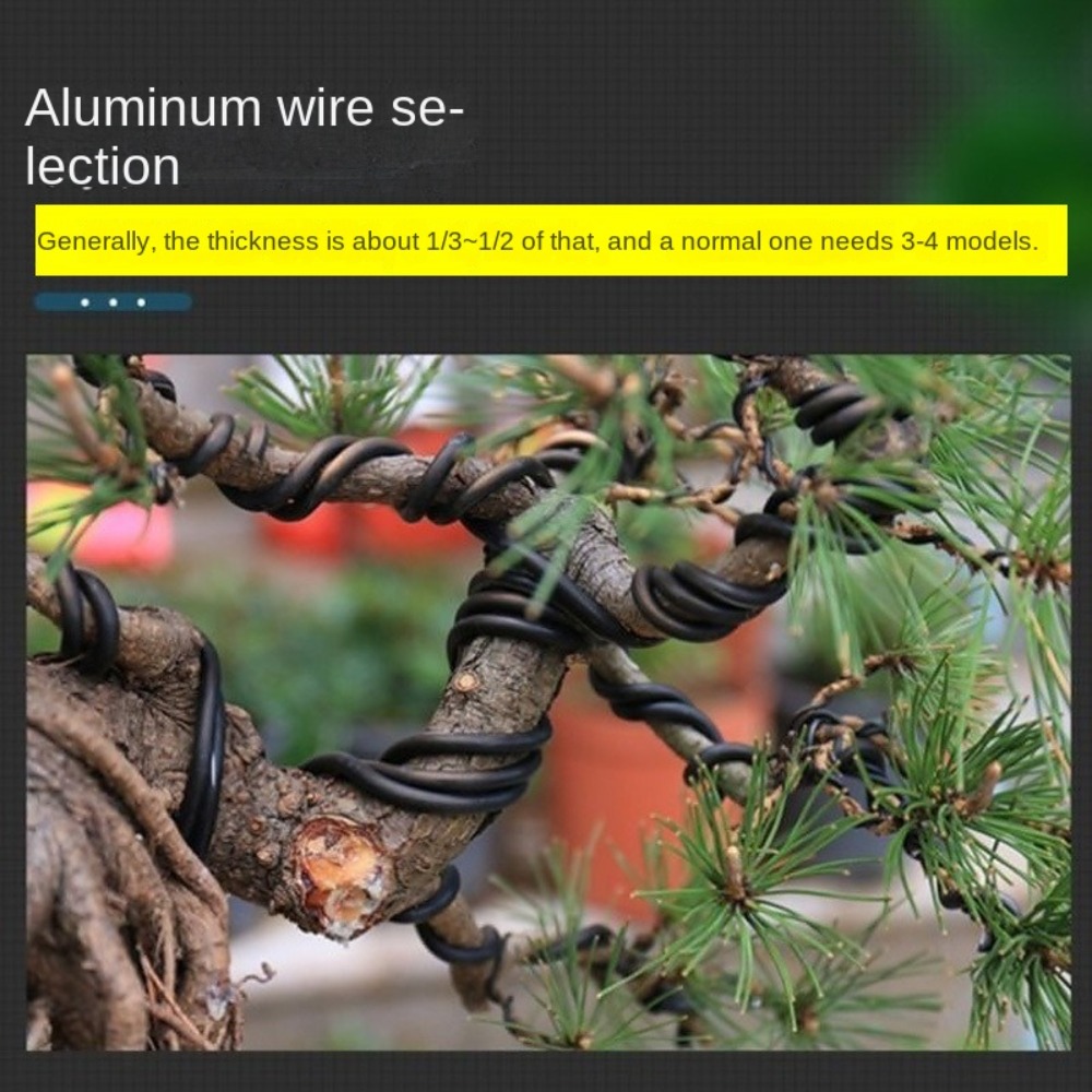 Aluminum Bonsai Wire Garden Bo - đánh giá và giá Plant Parent Tools