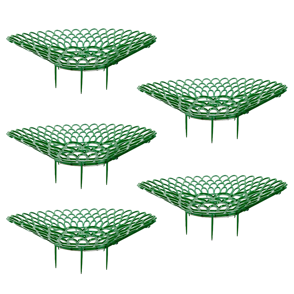 5/10PCS Strawberry Supports Wi - đánh giá và giá Plant Parent Tools