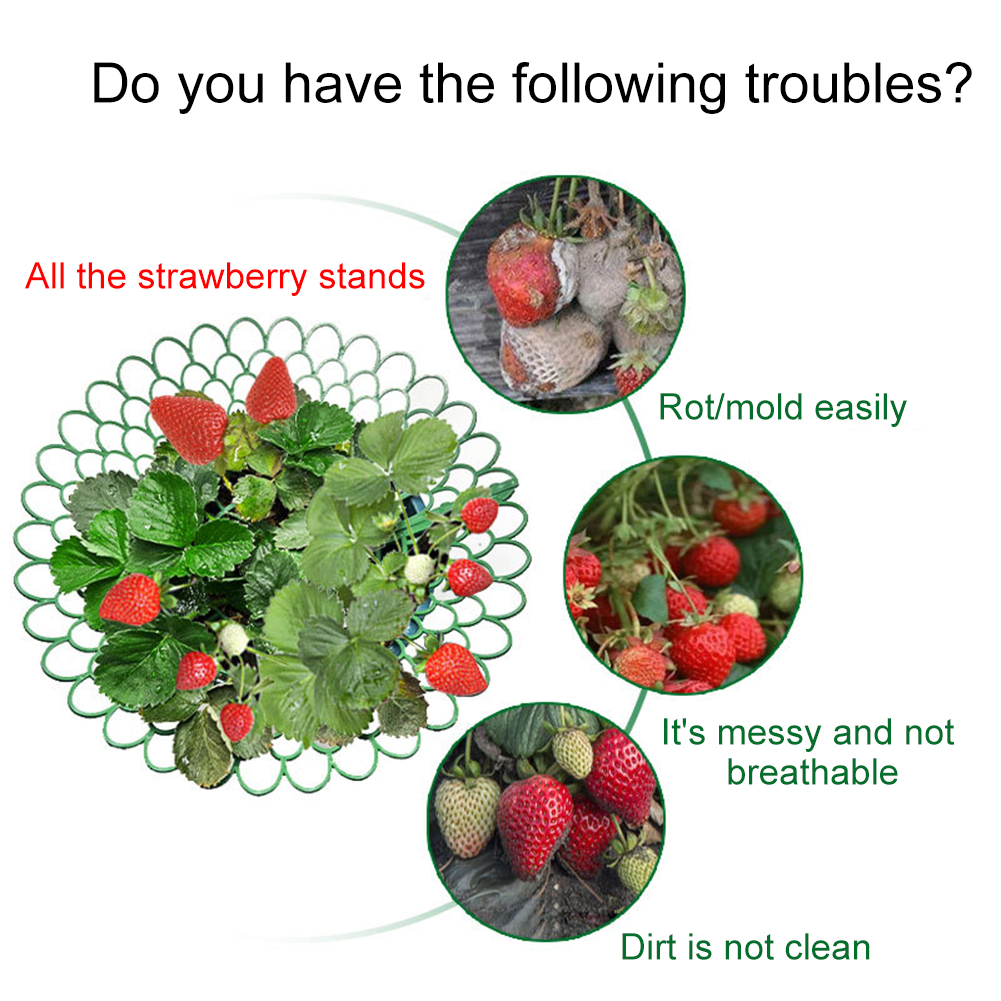 5/10PCS Strawberry Supports Wi - đánh giá và giá Plant Parent Tools