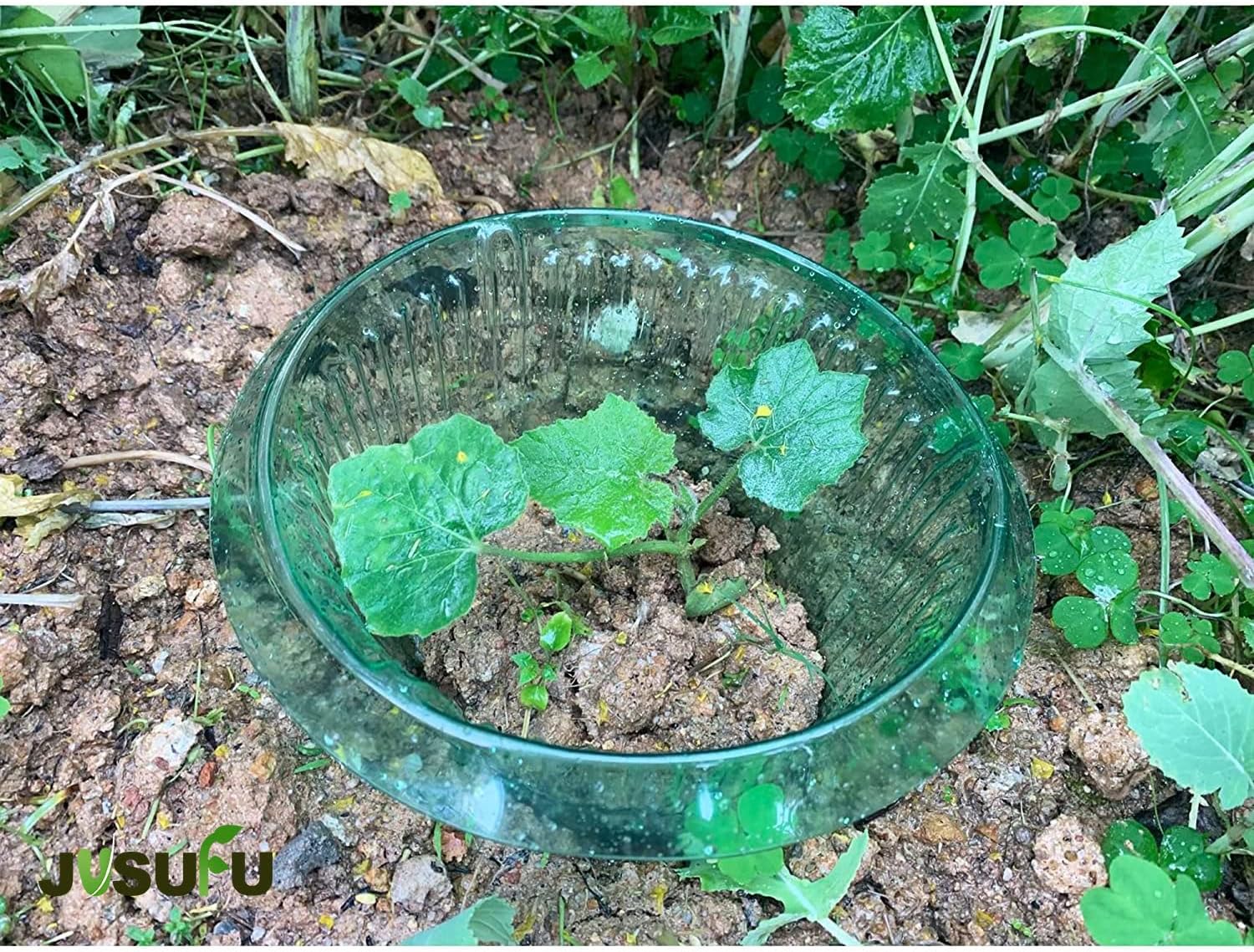 1/30pcs Plants Slug Protection - đánh giá và giá Plant Parent Tools