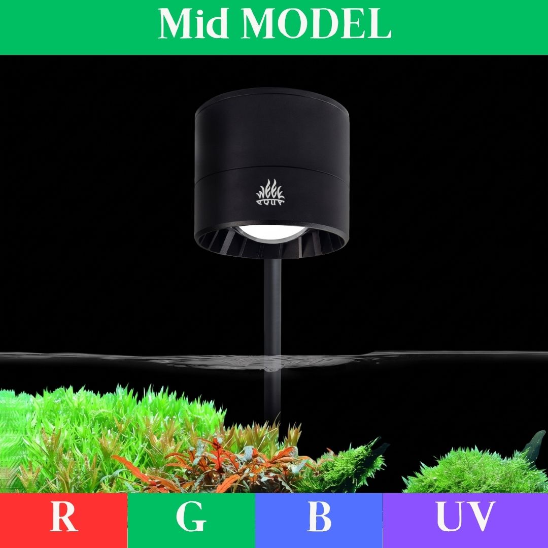 WEEK AQUA T95PRO SPOT RGB+UVA  - đánh giá và giá Plant Parent App