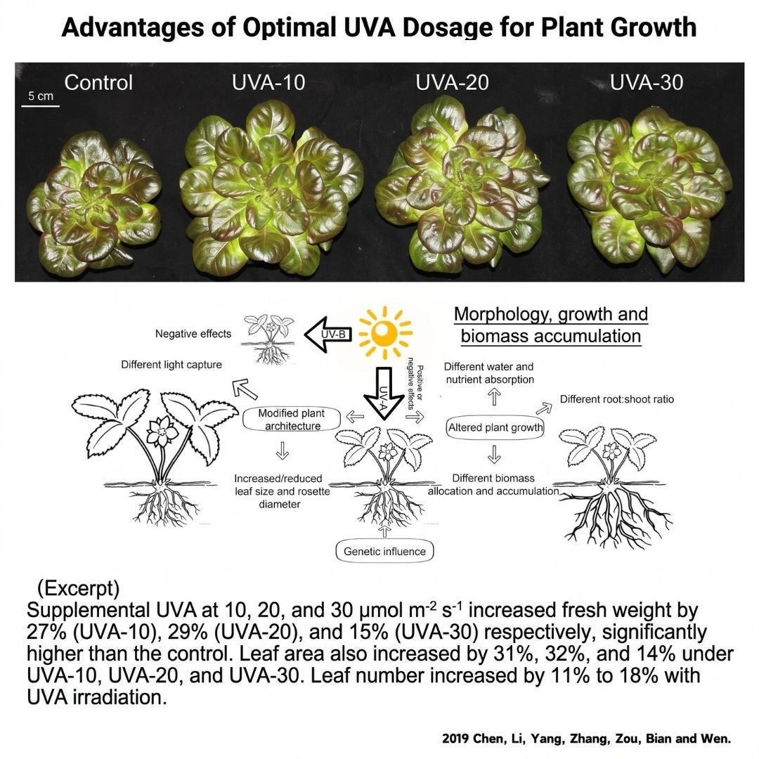 WEEK AQUA T95PRO SPOT RGB+UVA  - đánh giá và giá Plant Parent App