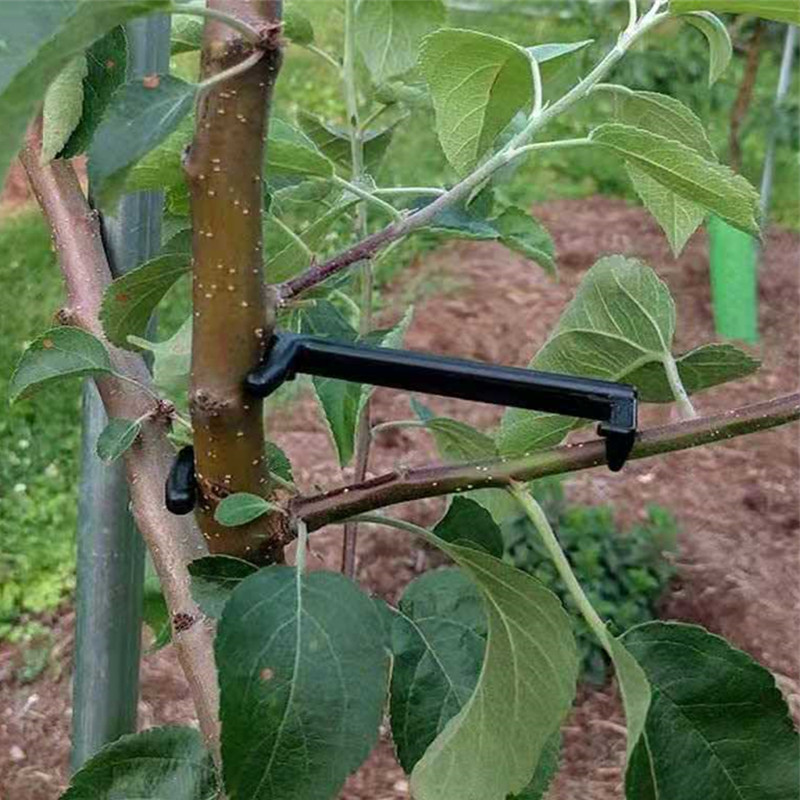 10-30 Chiếc Quả Cây Kẹp Vật Có - đánh giá và giá Plant Parent Tools