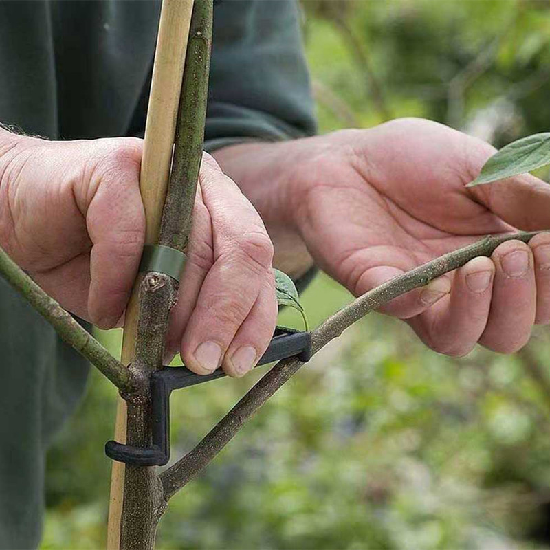10-30 Chiếc Quả Cây Kẹp Vật Có - đánh giá và giá Plant Parent Tools