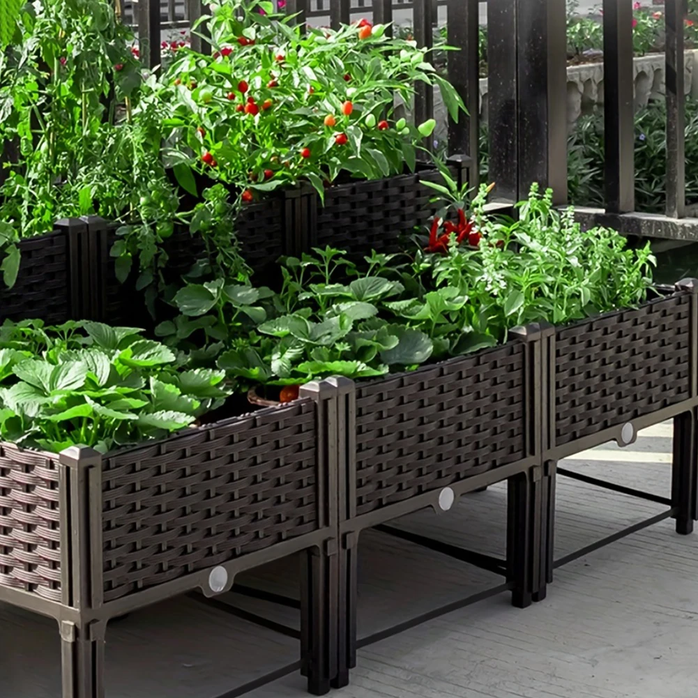 Large Capacity Garden Bed Vege - đánh giá và giá Plant Parenting