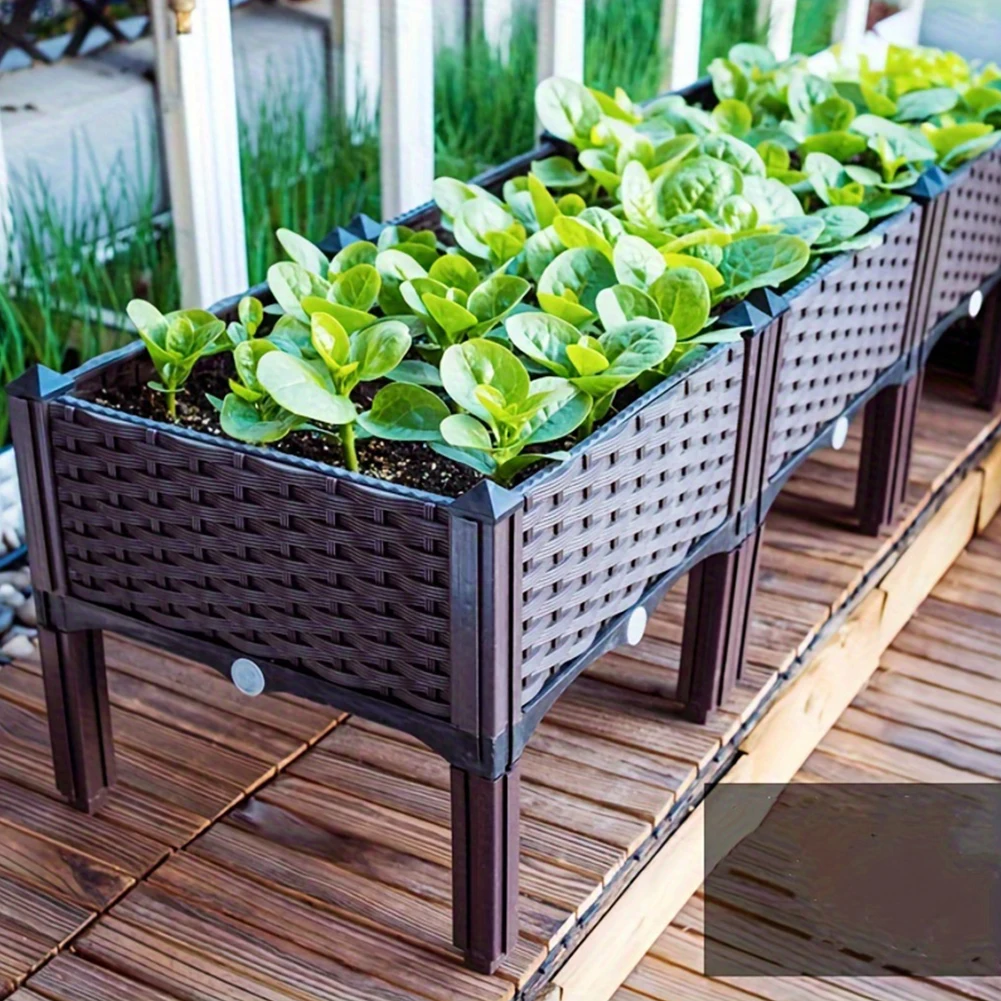 Large Capacity Garden Bed Vege - đánh giá và giá Plant Parenting