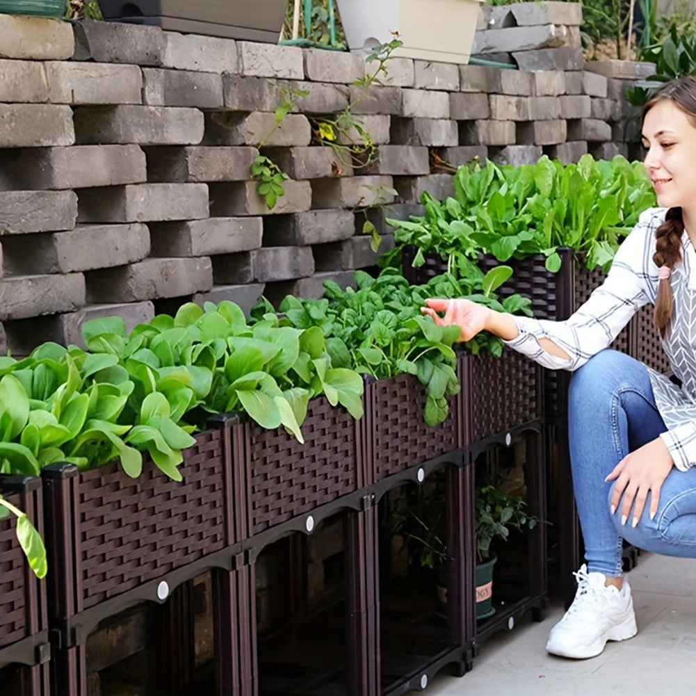 Large Capacity Garden Bed Vege - đánh giá và giá Plant Parenting