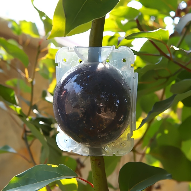10Pcs High Pressure Plant Root - đánh giá và giá Plant Parenting