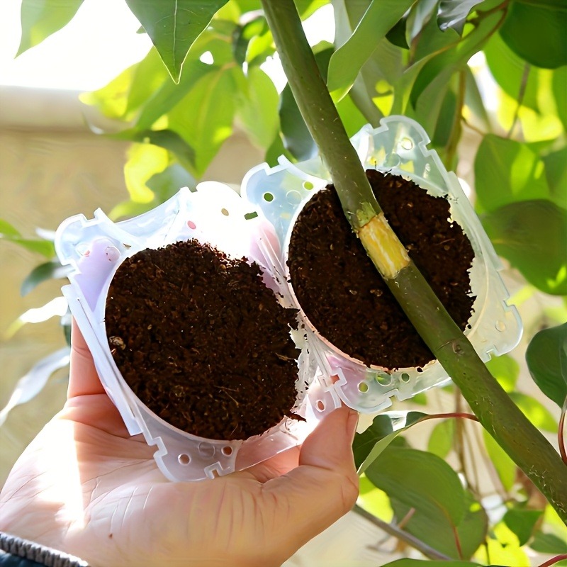 10Pcs High Pressure Plant Root - đánh giá và giá Plant Parenting
